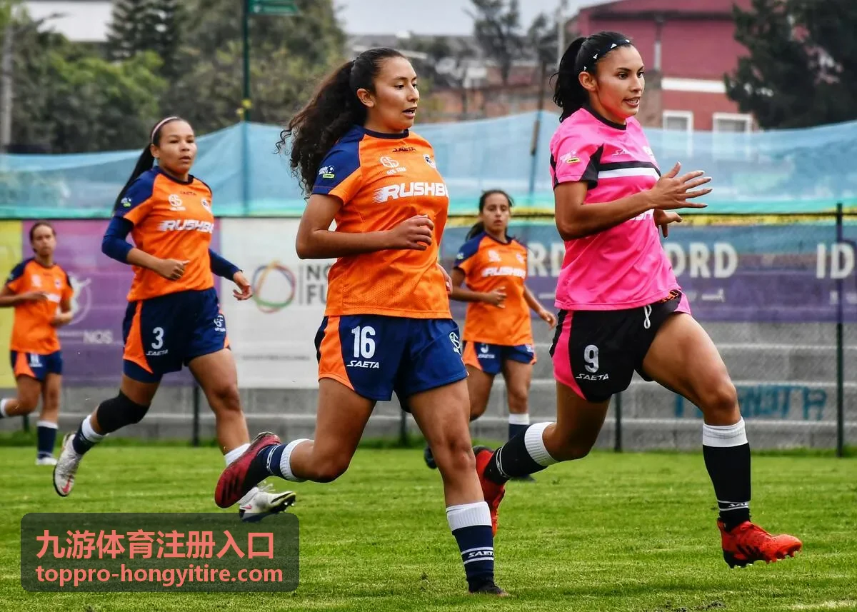 九游体育注册入口验证码核验与安全设置示意