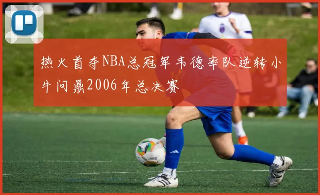 热火首夺NBA总冠军韦德率队逆转小牛问鼎2006年总决赛