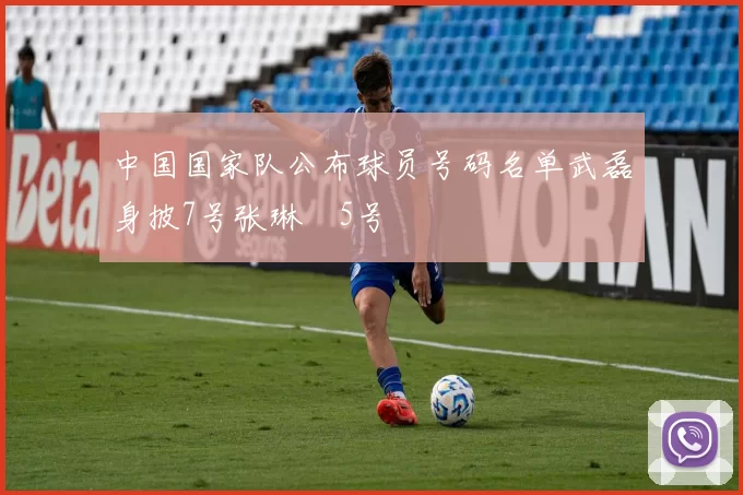 中国国家队公布球员号码名单武磊身披7号张琳芃5号