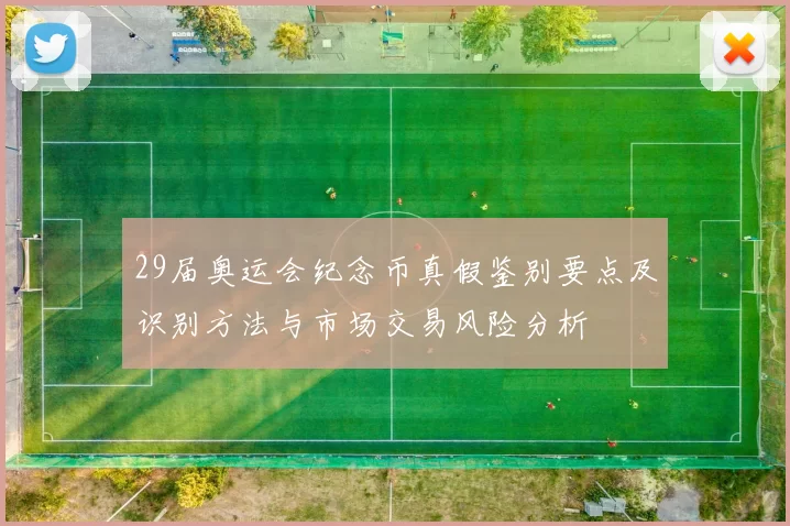 29届奥运会纪念币真假鉴别要点及识别方法与市场交易风险分析