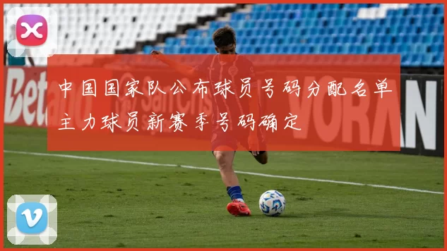 中国国家队公布球员号码分配名单主力球员新赛季号码确定
