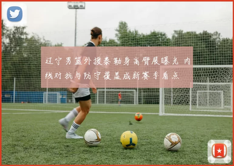 辽宁男篮外援泰勒身高臂展曝光 内线对抗与防守覆盖成新赛季看点