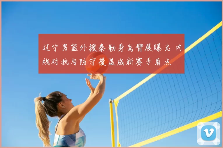辽宁男篮外援泰勒身高臂展曝光 内线对抗与防守覆盖成新赛季看点