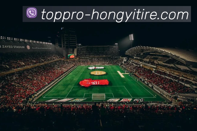 fb体育APP 封面图